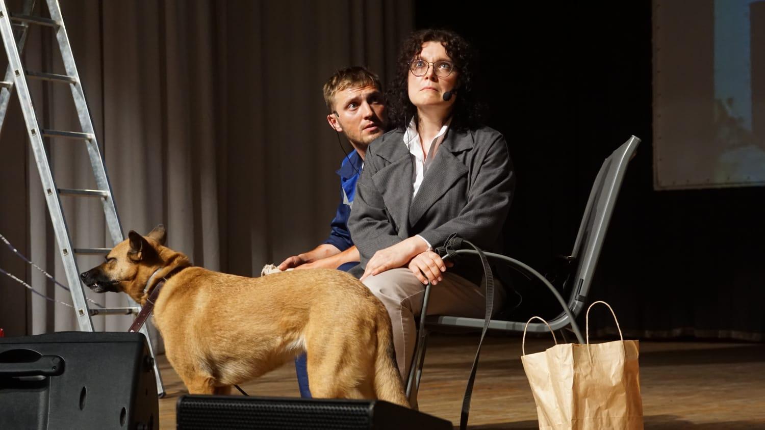 Фото Актёры театров Новосибирска сыграли в спектакле с собаками-терапевтами 2